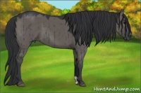 Horse Color:Grullo Brindle 