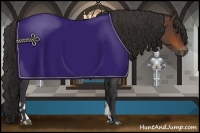 Horse Color:Bay  and Bay Appaloosa 