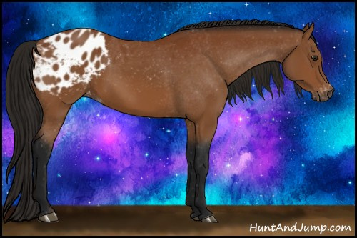 Horse Color:Gray Bay Blanket 