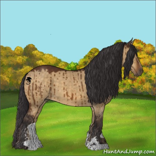 Horse Color:Buckskin Dun Sabino Brindle 