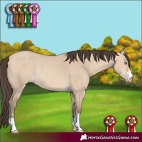 Horse Color:Amber Champagne Dun Rabicano