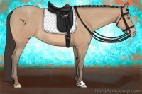 Horse Color:Amber Champagne Rabicano 