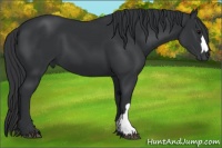 Horse Color:Black Mushroom 