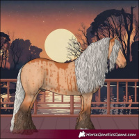 Horse Color:Silver Bay Dun Brindle 