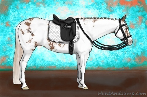 Horse Color:Chestnut Sabino 