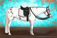 Horse Color:Chestnut Sabino 