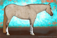 Horse Color:Gray Liver Red Dun Roan 