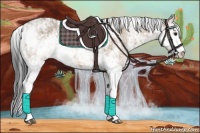 Horse Color:Brown Dun Sabino 