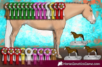 Horse Color:Silver Amber Champagne Splash