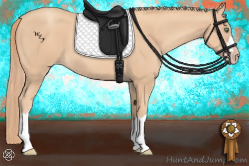 Horse Color:Gold Champagne 