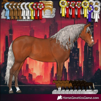 Horse Color:Silver Bay 