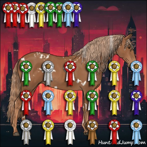 Horse Color:White Spotted Chestnut 