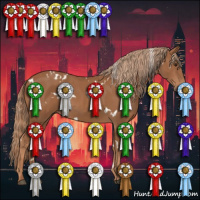 Horse Color:White Spotted Chestnut 