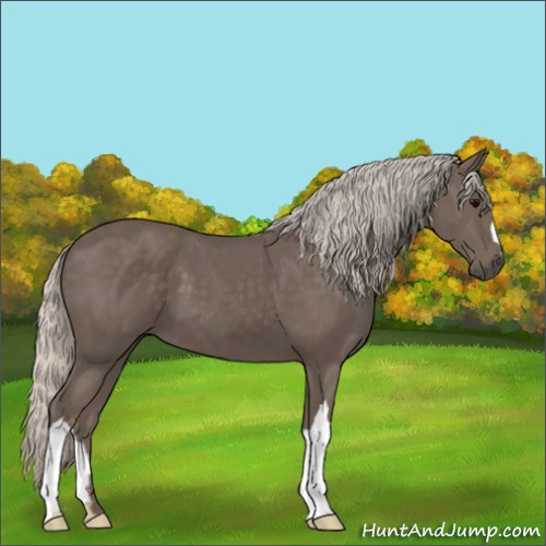 Horse Color:Silver Black