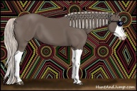 Horse Color:Silver Black Splash 