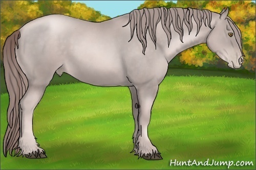 Horse Color:Platinum Liver Chestnut Pearl Rabicano 