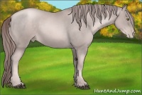 Horse Color:Platinum Liver Chestnut Pearl Rabicano 