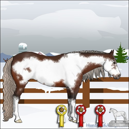Horse Color:Gray Silver Bay Frame 