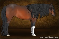 Horse Color:Brown 