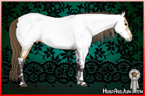 Horse Color:Buckskin Near Fewspot 