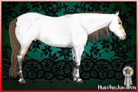 Horse Color:Buckskin Near Fewspot