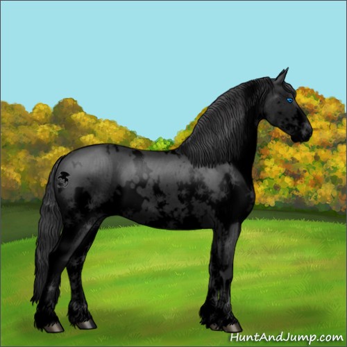 Horse Color:Void White Spotted Blue Roan Splash 