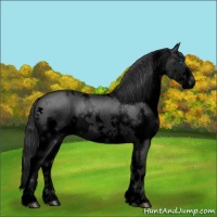 Horse Color:Void White Spotted Blue Roan Splash 