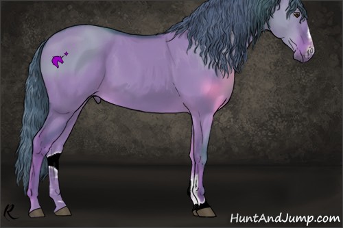Horse Color:Watercolor Liver Red Dun Sabino