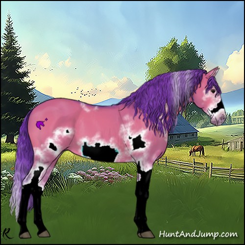 Horse Color:Watercolor White Spotted Bay Dun Splash Frame 