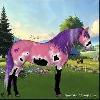 Horse Color:Watercolor White Spotted Bay Dun Splash Frame 