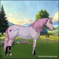 Horse Color:Watercolor White Spotted Bay Dun 