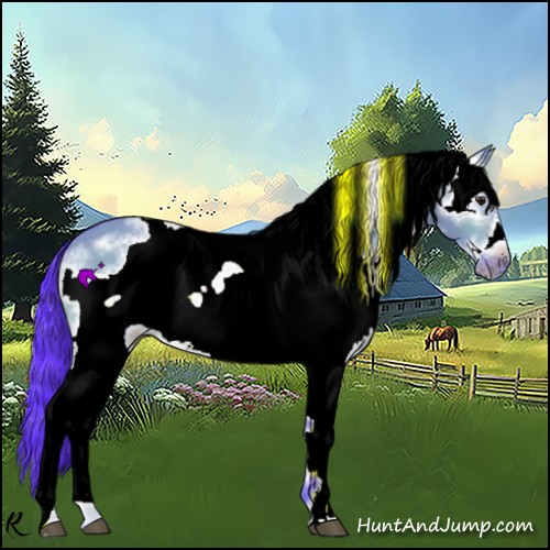 Horse Color:Watercolor White Spotted Brown Dun Frame 