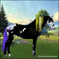 Horse Color:Watercolor White Spotted Brown Dun Frame