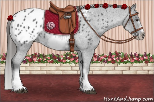 Horse Color:White Spotted Blue Roan Splash Frame Blanket