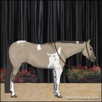 Horse Color:Smoky Grullo Tobiano