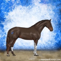 Horse Color:Liver Chestnut Tobiano Rabicano 