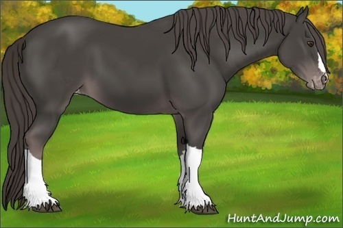 Horse Color:Platinum Liver Chestnut Varnish 