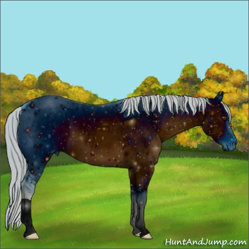 Horse Color:ERROR: UNKNOWN ANOMALY
