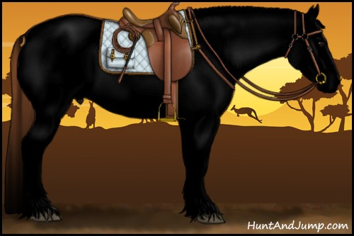 Horse Color:Void Bay Roan Dun Blanket 