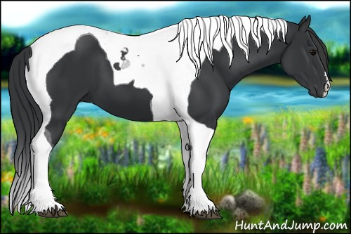Horse Color:Black Tobiano