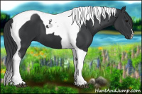 Horse Color:Black Tobiano 
