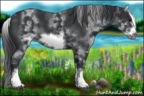 Horse Color:White Spotted Black Frame 