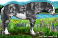 Horse Color:White Spotted Black Frame 