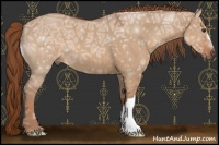 Horse Color:Red Dun Ice 