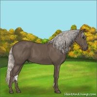 Horse Color:Silver Black 
