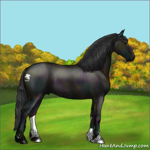 Horse Color:Midnight Grullo Sabino