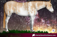 Horse Color:Gray White Spotted Red Dun Pearl Brindle