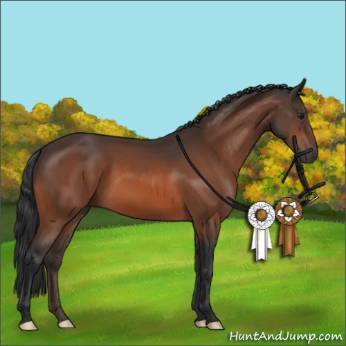 Horse Color:Brown 