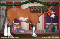 Horse Color:Bay Splash Frame Rabicano