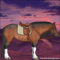 Horse Color:Bay Rabicano